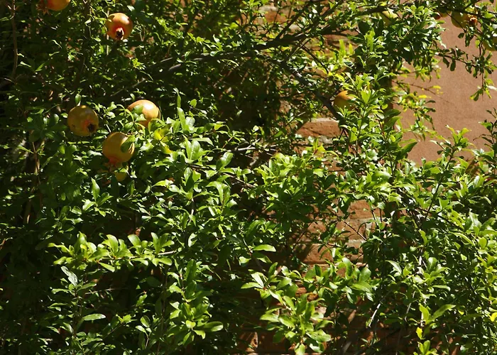 Casa Del Melograno Velence