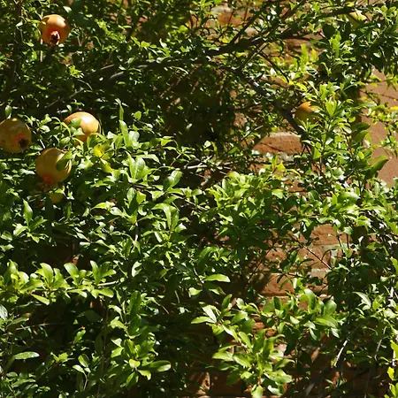 Casa Del Melograno Venecia